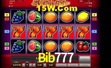 Segurança 2FA Bib777